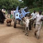 Sudan vows to continue military campaign in Blue Nile